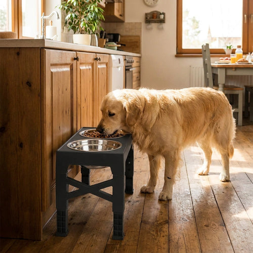 Adjustable Elevated Dog Feeder with Steel Bowls