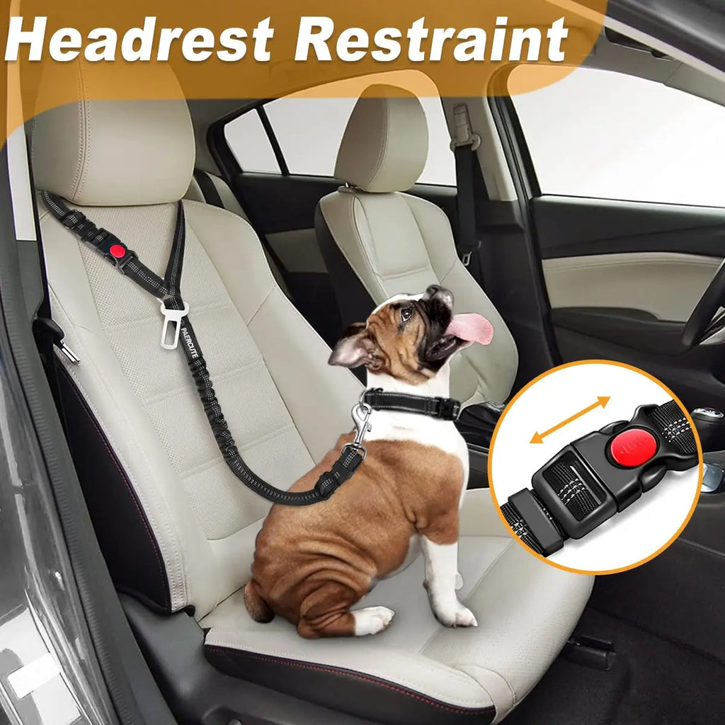 Adjustable 2-in-1 Dog Harness & Car Seat Belt