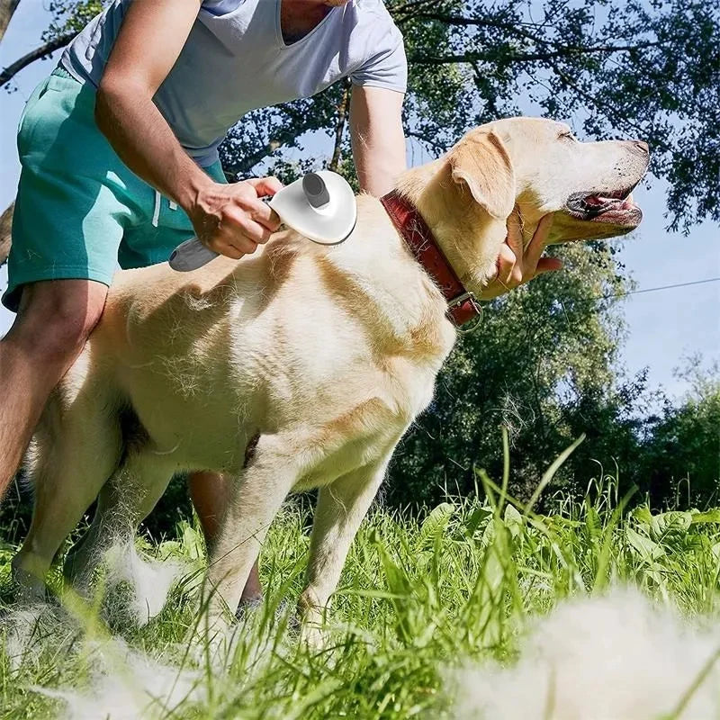 Self-Cleaning Deshedding Brush for Dogs & Cats