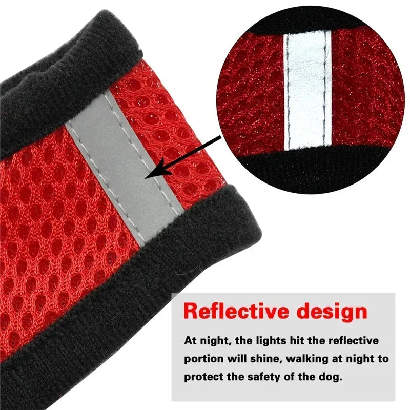 Adjustable Mesh Dog & Cat Harness & Leash Set
